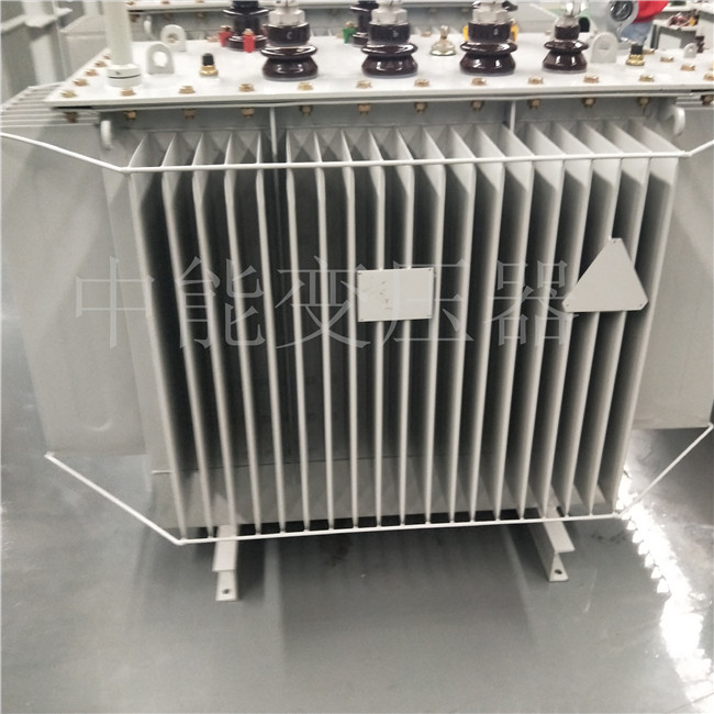 永州S20-800KVA变压器